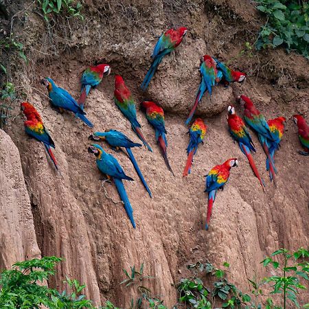 Refugio Amazonas Lodge Tambopata Екстериор снимка