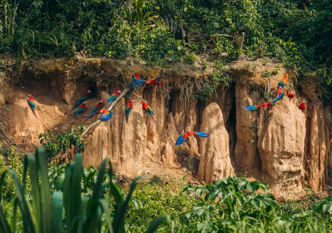 Refugio Amazonas Lodge Tambopata Екстериор снимка