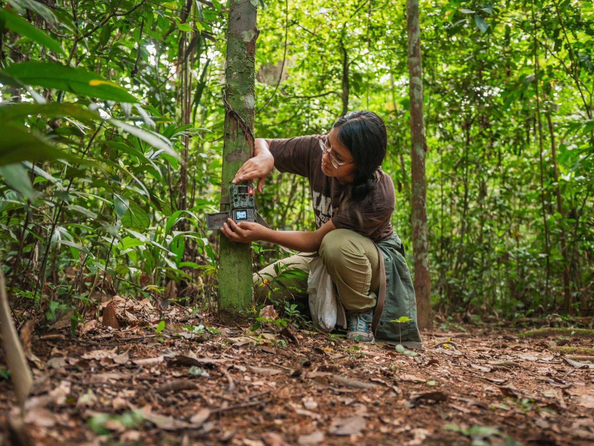 Refugio Amazonas Lodge Tambopata Екстериор снимка